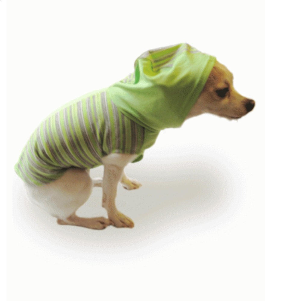 NWT La Maison De Puppy Spring a la mode Hoodie - M